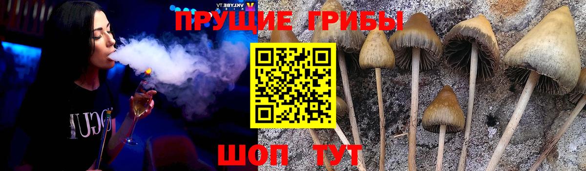 Галлюциногенные грибы ЛСД  Вход с VPN  как найти наркотики  Алексин 
