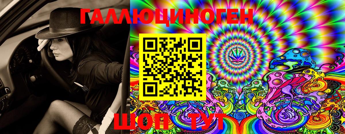 Псилоцибиновые грибы MAGIC MUSHROOMS Алексин